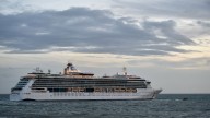 Norovirus outbreak on Royal Caribbean cruise sickens over 70 people aboard