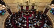 Histórico en el Senado: la oposición derribó el primer veto de Javier Milei y la Ley de Discapacidad será promulgada