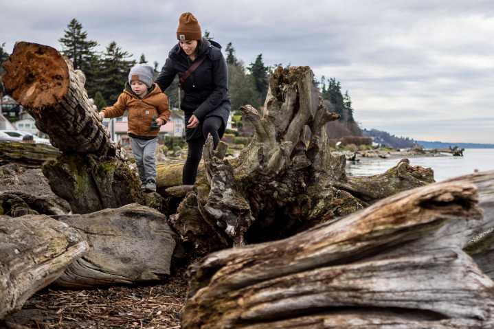 Coconut “bomb” forces temporary closure of Mukilteo’s Lighthouse Park