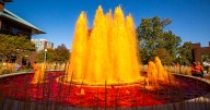 C-U ready to party during the University of Illinois' 2025 Homecoming