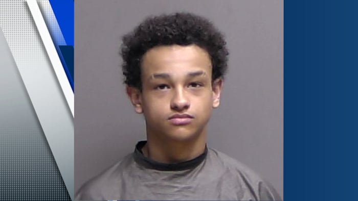 15-year-old student arrested after pointing gun at Flagler County classmate, deputies say