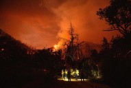 Firefighters question leaders’ role in Washington immigration raid