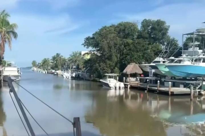 Boy Bitten by Shark in Florida Was Saved by His Sister, Says Family