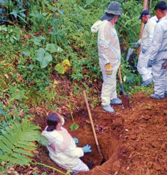 Sería un desaparecido de Pereira