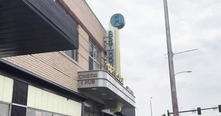 Art House Cinema Pub in Billings hosts Cat Video Fest for a cause