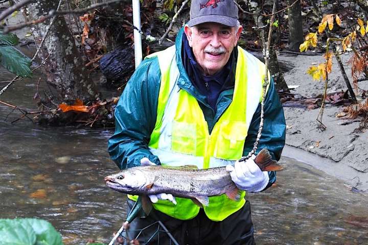 'This is the payoff': Coho spawners at Surrey creek cause excitement