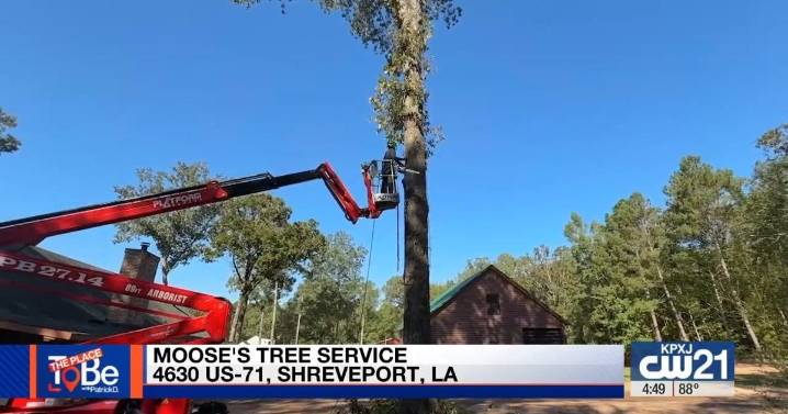 The Place To Be With Patrick D: Moose's Tree Service