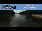 Ocala Salt Springs and more