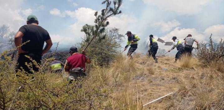 Extinguen incendios forestales en Apurímac, Huánuco y Pasco: Más de 170 hectáreas de vegetación resultaron destruidas