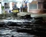 En vídeo: el espeluznante momento en el que una quebrada se desborda por las lluvias
