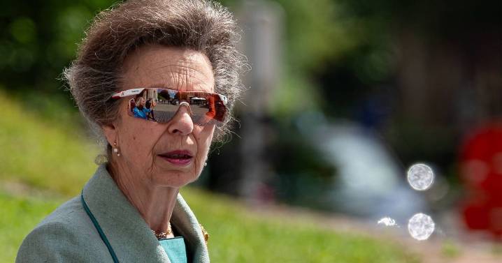 Princess Anne 'quietly building' fortune with 'surprising' source of wealth