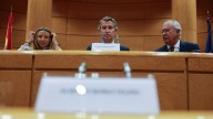 El PP lleva al TC el bloqueo del Congreso a sus 31 leyes tramitadas en el Senado
