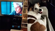 La reacción inesperada de una perra en una escena emotiva de "Marley y yo" se viralizó