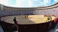 El Consell de Mazón destina hasta 300.000 euros a la Fundación Toro de Lidia de Madrid