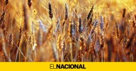 Esta es la comarca de Catalunya ideal para desconectar