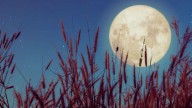 ¿Qué cosas NO debes hacer durante la Luna de Maíz este 7 de septiembre para evitar atraer la mala suerte?