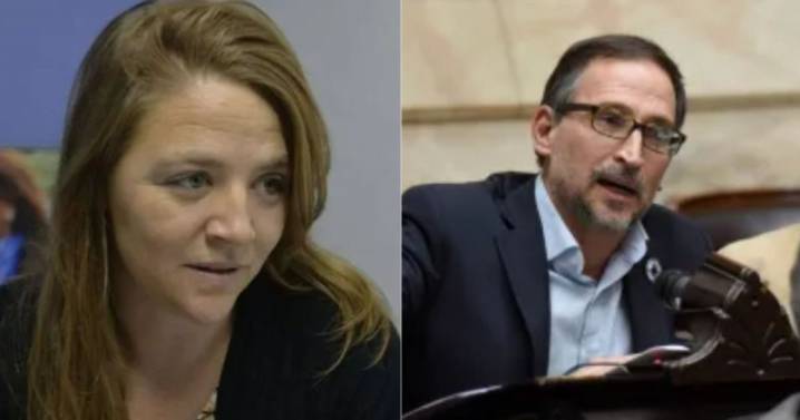Apuntan contra un diputado de Río Negro por su rol en la comisión de $LIBRA: «Ficha limpia para los demás»