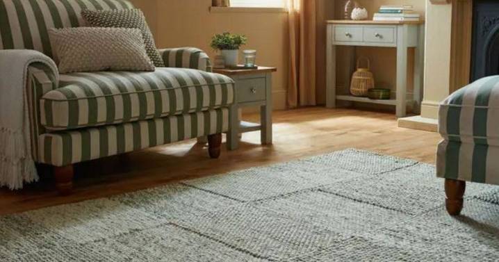Dunelm fans 'in love' with 'beautiful' £65 rug - available in four colours