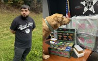 Arrestado con más de 600 cartuchos de vapeo con THC en Iredell