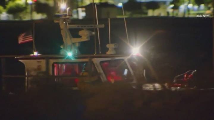 Shark bites swimmer in San Pedro | FOX 11 Los Angeles