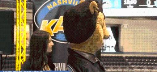 Nashville Kats announce move to Clarksville ahead of 2026 arena football season