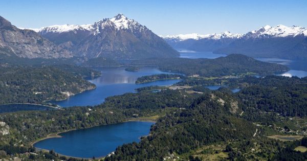 Sorprendente hallazgo en la Patagonia argentina: científicos descubren una nueva especie y cambia el rumbo de la historia