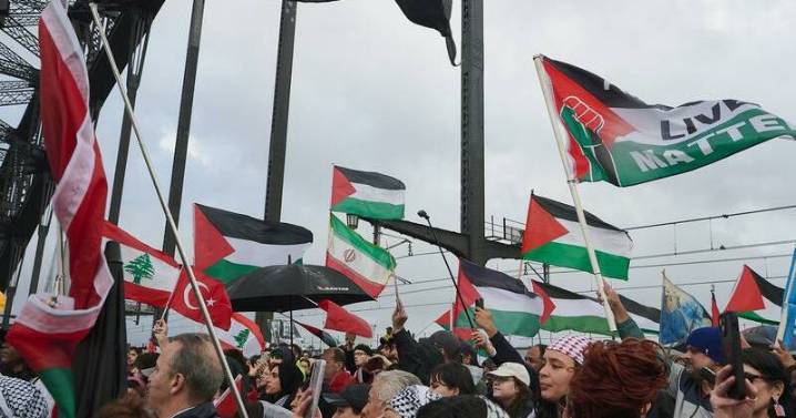 Coalition accused of going 'rogue' on Palestine stance