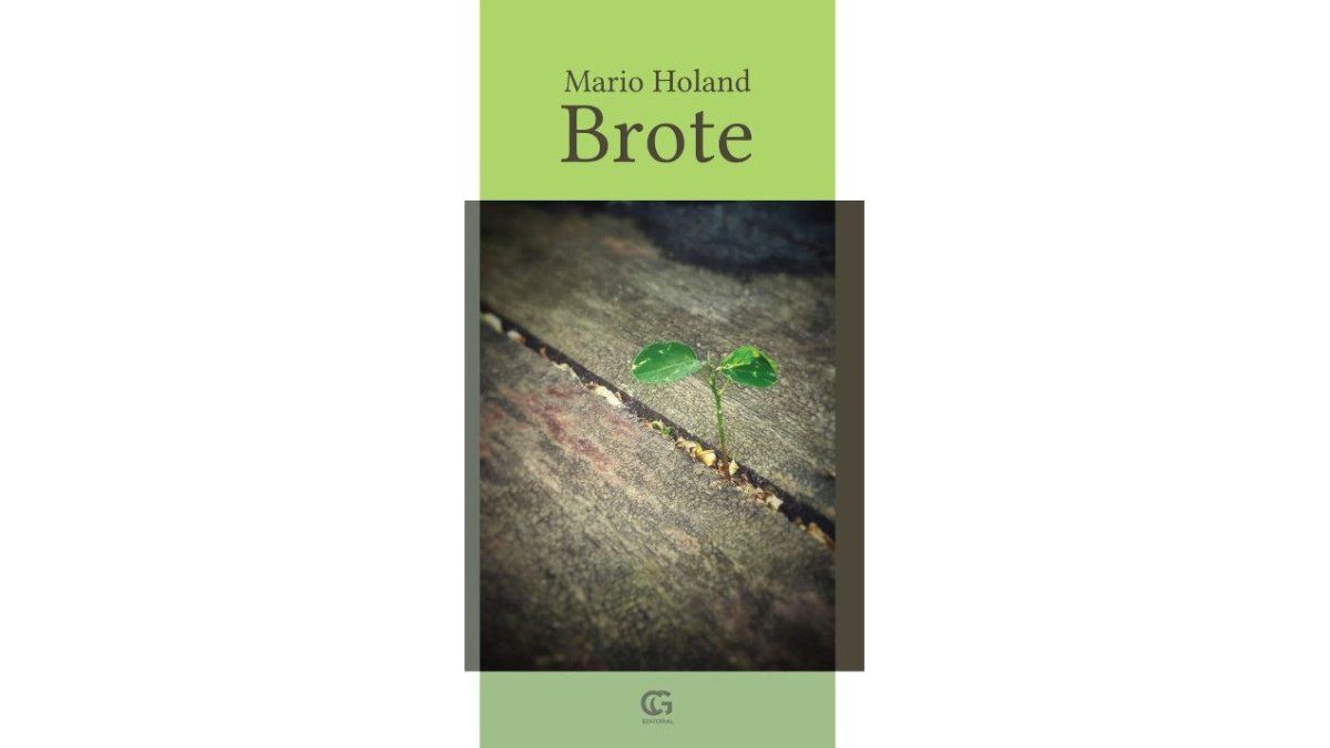 "Brote", de Mario Holand, se presentará el viernes en la Casa del Foro