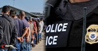 Lo que los expertos en inmigración en EE. UU. quieren que sepas sobre ICE: cómo protegerte como inmigrante