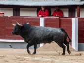 La bravura y el escándalo