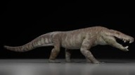 Joaquinraptor, un dinosaurio depredador que dominó el Cretácico tardío en Argentina
