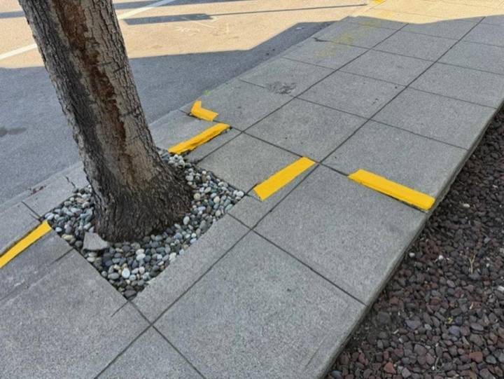 Pedestrian Safety: Wenatchee's Sidewalk Hazard Removal Program