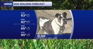 Soggy Doggy Alert: Your September 4 dog walking forecast
