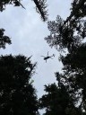 Wildcat Fire near Naches grows to 1,170 acres