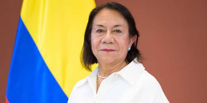 Canciller de Colombia anunció que renuncia a su visa para los Estados Unidos
