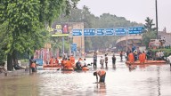 Hardlook: Plan to flood