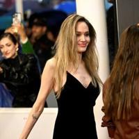 'I don't recognise my country,' says Angelina Jolie