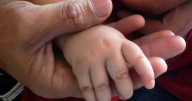Colombia registró 455.000 nacimientos en el 2024, el nivel más bajo en 10 años: una caída del 31%