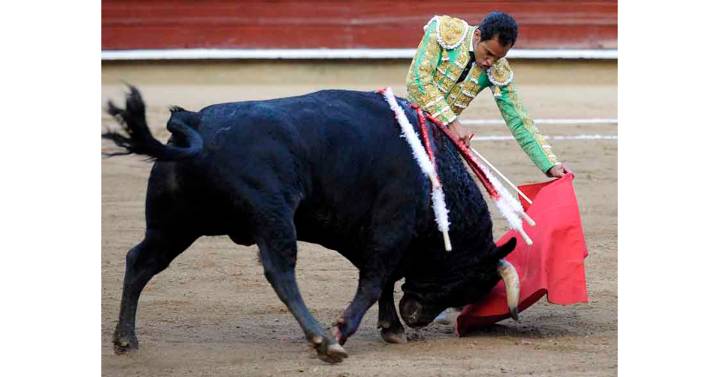 Temporada de protestas: animalistas alistan manifestaciones contra corridas de toros
