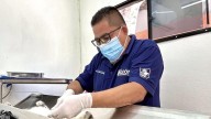 ¿No hay citas en el Centro de Control Animal de León? Apuran contratación de veterinarios