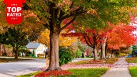 Saratoga Springs Lands Among America’s Elite Small Cities