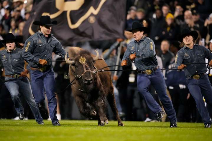 Where to watch Colorado vs Houston football streaming free today: Time, channel, odds