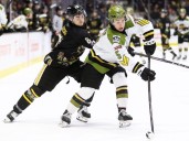 Sarnia Sting to help Georgian Bay minor hockey on pre