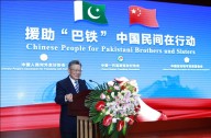 China delivers flood relief supplies to Pakistan