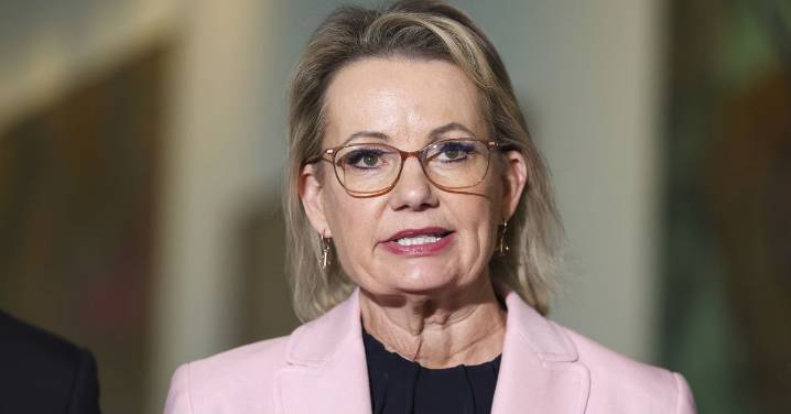 Opposition Leader Sussan Ley accused of running 'rogue foreign policy' over Palestine letter