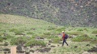 Atacama da la bienvenida al Desierto Florido