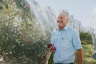 At the Market: Transition to fall with autumn harvest salad