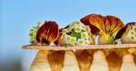 50 best restaurants in North America: 3 in Ontario