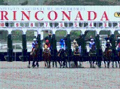 INH: Resultados del Hipódromo La Rinconada, domingo 28
