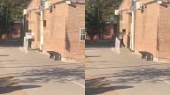 Una adolescente de 14 años se atrincheró en una escuela de Mendoza y disparó al aire